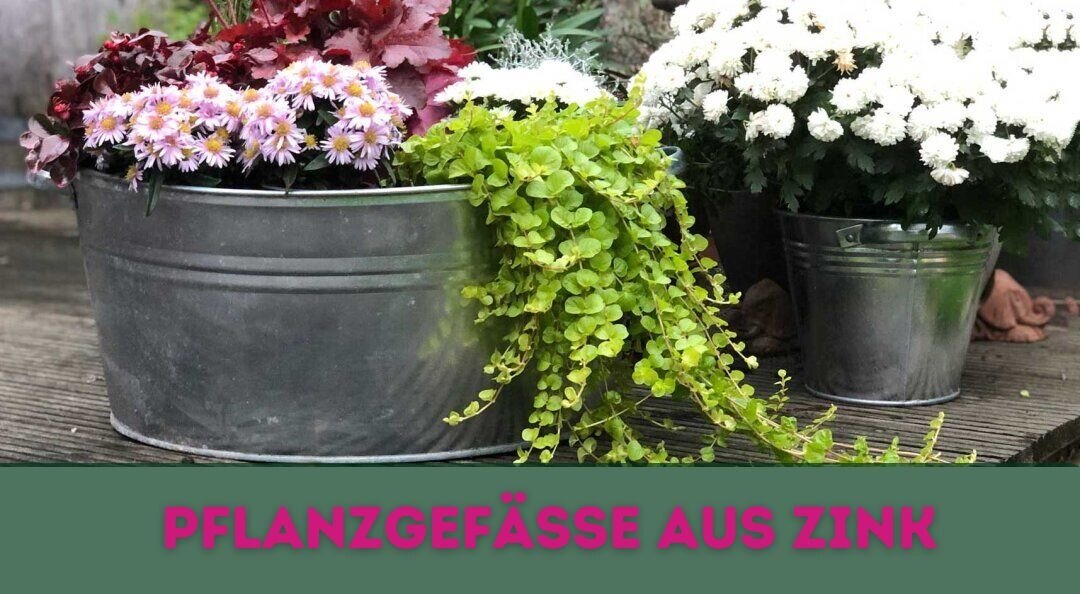 Zinkwannen und Pflanzgefäße