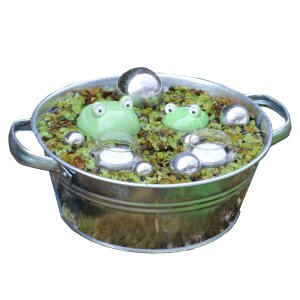 Mini-Teich Komplett-Set - Schwimmfrösche - Zinkwanne 5 Liter