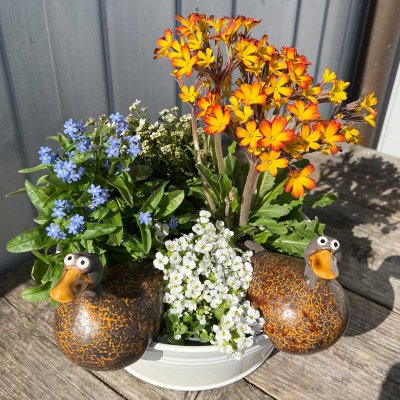 Kantenhocker Ente aus Keramik 2 Modelle