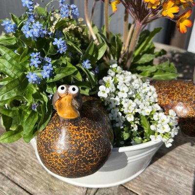 Kantenhocker Ente aus Keramik 2 Modelle