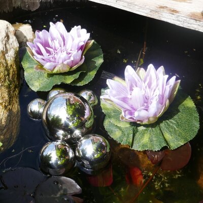 Miniteich Komplettset: 2 lila Seerosen & 6 silberne Schwimmkugeln