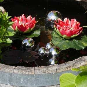 Miniteich Komplettset - 2 rote Seerosen & 6 silberne...