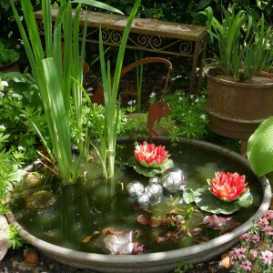 Miniteich Komplettset - 2 rote Seerosen & 6 silberne Kugeln