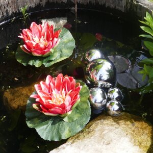 Miniteich Komplettset - 2 rote Seerosen & 6 silberne Kugeln