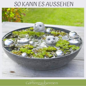 10-teiliges Miniteich Deko-Set Seehunde – Inkl. 2x Keramik-Robben