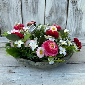 Schale Sonnenblumen Blüte klein Betonoptik