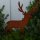 Gartenstecker  Hirsch zum Stecken in Rostoptik lackiert