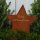 Gartenstecker  Stern zum Stecken in Rostoptik lackiert