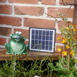Wasserspeier frecher Frosch, Solarpumpe