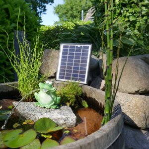 Wasserspeier Frosch, Solarpumpe mit Akku