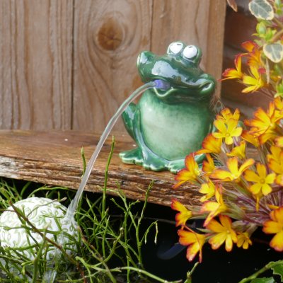 frecher Frosch+ grüne Schwimmkugeln+ Pumpe