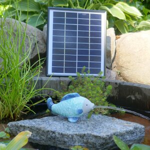 Akku Solarpumpe mit Fisch