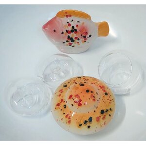 Miniteich komplett Linse Fisch in Gelb