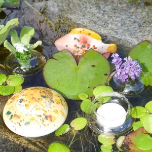 Miniteich komplett Linse Fisch in Gelb