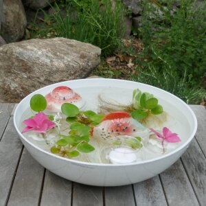 Miniteich komplett Linse Fisch in Rot