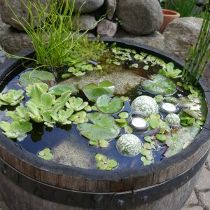 Schwimmkugel-Set in Grün mit Teelichtgläsern – Edle Teichdeko