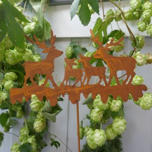 Beetstecker Hirschfamilie