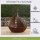 Segelboot mit Leinen zum Bepflanzen 30cm aus Rost