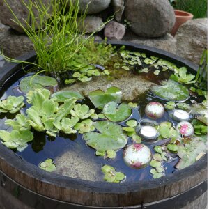 3 Schwimmkugeln mit Rosenmuster und Teelichtschalen