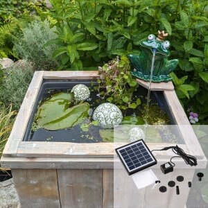 Miniteich Komplettset: Solar-Wasserspiel Froschkönig...