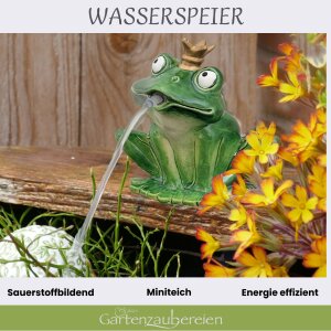 Miniteich Komplettset: Solar-Wasserspiel Froschkönig kaufen