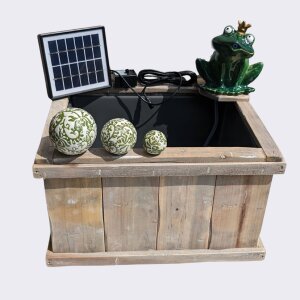 Miniteich Komplettset: Solar-Wasserspiel Froschkönig kaufen