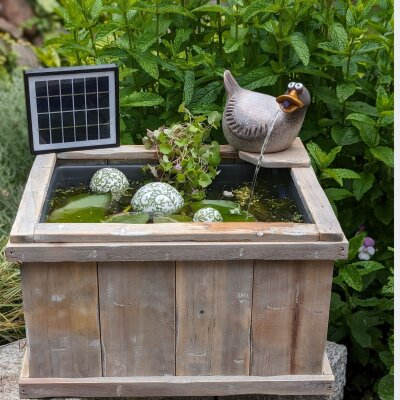 Miniteich Komplettset mit Solar-Wasserspeier kaufen
