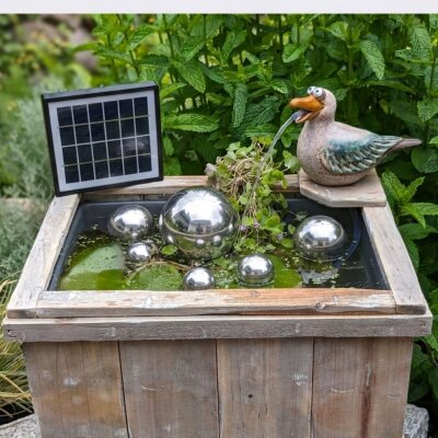 Holzkiste Miniteich Komplettset mit Solar-Wasserspiel - Möwe