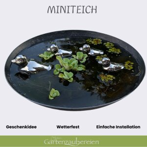 Miniteich Set, graue Schale und Schwimmenten silber