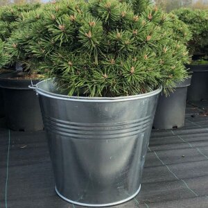 Zinkeimer 15l Blumentopf Putzeimer verzinkt