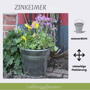 Zinkeimer 15l Blumentopf Putzeimer verzinkt