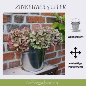 Zinkeimer 5L verzinkt – Robuster Metalleimer für Garten & Deko