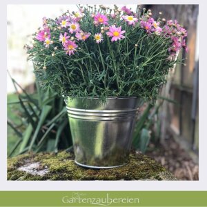 Zinkeimer 5L verzinkt – Robuster Metalleimer für Garten & Deko