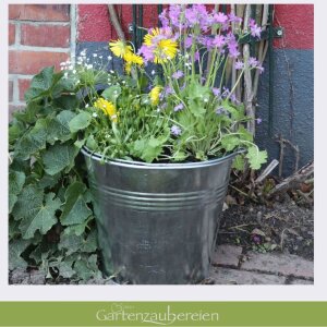 Zinkeimer 7l verzinkt – Robuster Pflanz- & Garteneimer