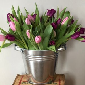 Zinkkübel 5l mit stabilen Griffen Blumentopf