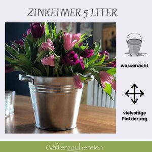 Zinkkübel 5l mit stabilen Griffen Blumentopf
