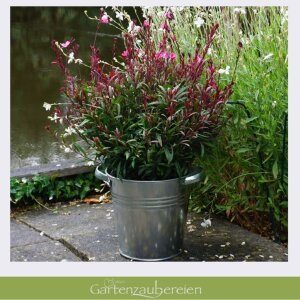 Zinkkübel 5l mit stabilen Griffen Blumentopf