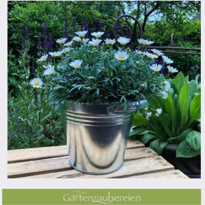 Zinkkübel 5l mit stabilen Griffen Blumentopf