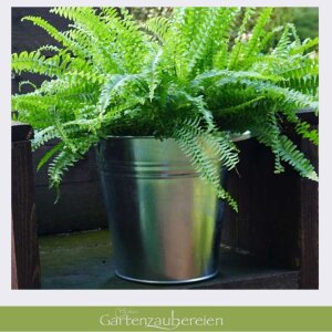 Zinkeimer 7L verzinkt mit Griffen | Robuster Metalleimer