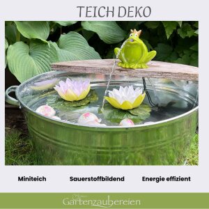 Solarbrunnen Set mit 40L Zinkwanne – Mini-Teich für Garten