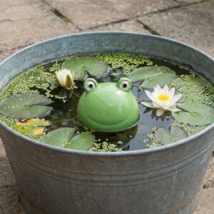 Schwimmfrosch Dekofigur aus Keramik für Teich & Miniteich kaufen