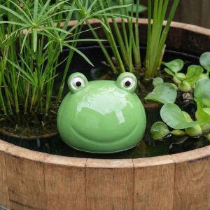 Schwimmfrosch Dekofigur aus Keramik für Teich & Miniteich kaufen
