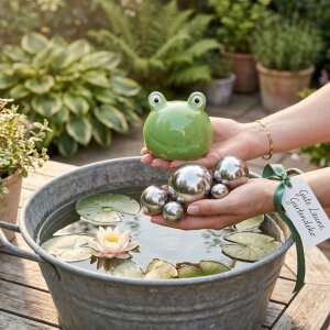 Schwimmfrosch Set mit 6 Edelstahlkugeln | Teichdeko Set