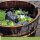Wasserspeier Gargoyle Set mit Akku-Solarpumpe