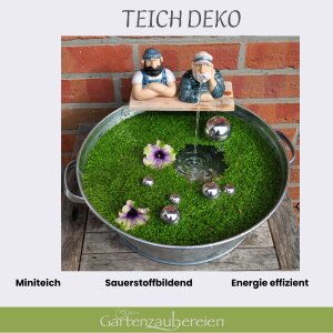 Miniteich Komplettset mit Wasserspeier Seemann Solarpumpe und Zinkwanne