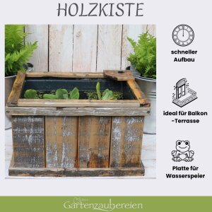 Holzkiste Solar Wasserspeier Froschkönig Miniteich Komplettset