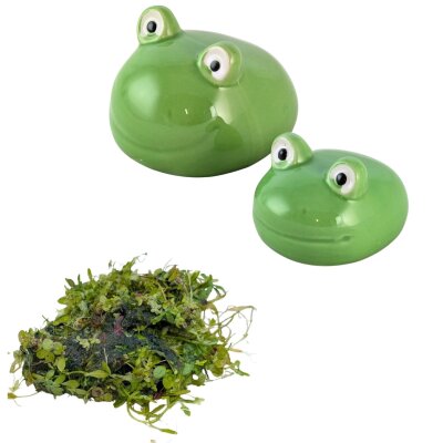 Schwimfrosch  2 Set mit Schwimmlinsen - Miniteichdeko