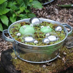 Schwimfrosch  2 Set mit Schwimmlinsen - Miniteichdeko