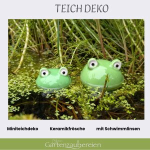 Schwimmfrosch 2er Set mit Schwimmlinsen - Miniteichdeko