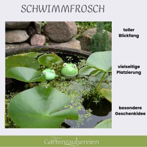 Schwimmfrosch 2er Set mit Schwimmlinsen - Miniteichdeko